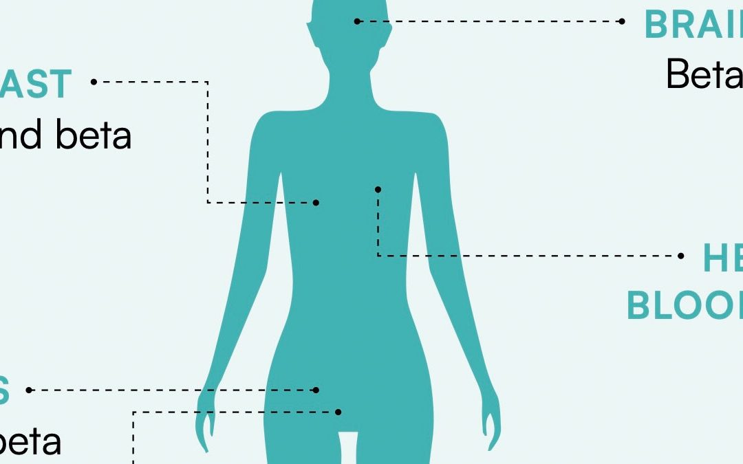 Phytoestrogens and Breast Health: What the Research Shows
