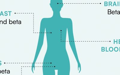 Phytoestrogens and Breast Health: What the Research Shows
