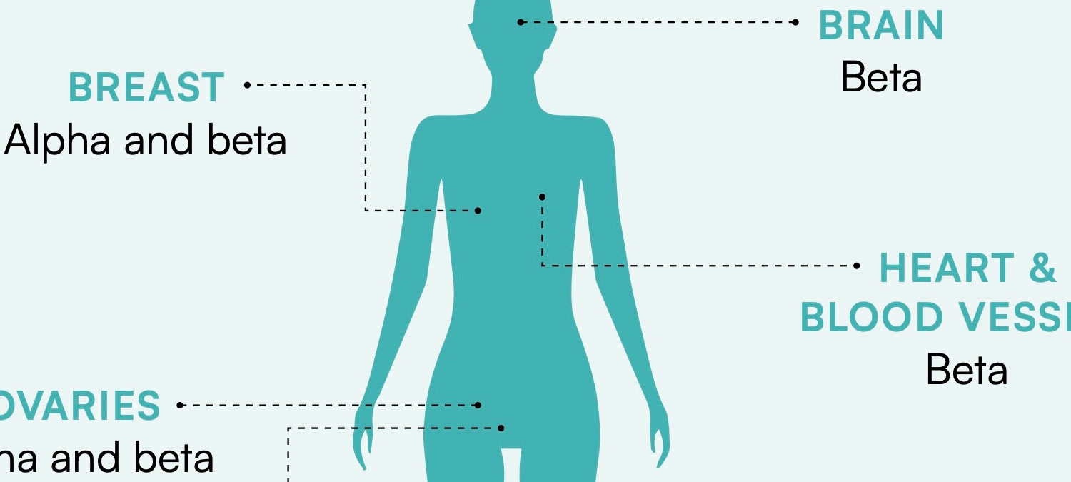 Phytoestrogens-and-Breast-Health-What-the-Research-Shows